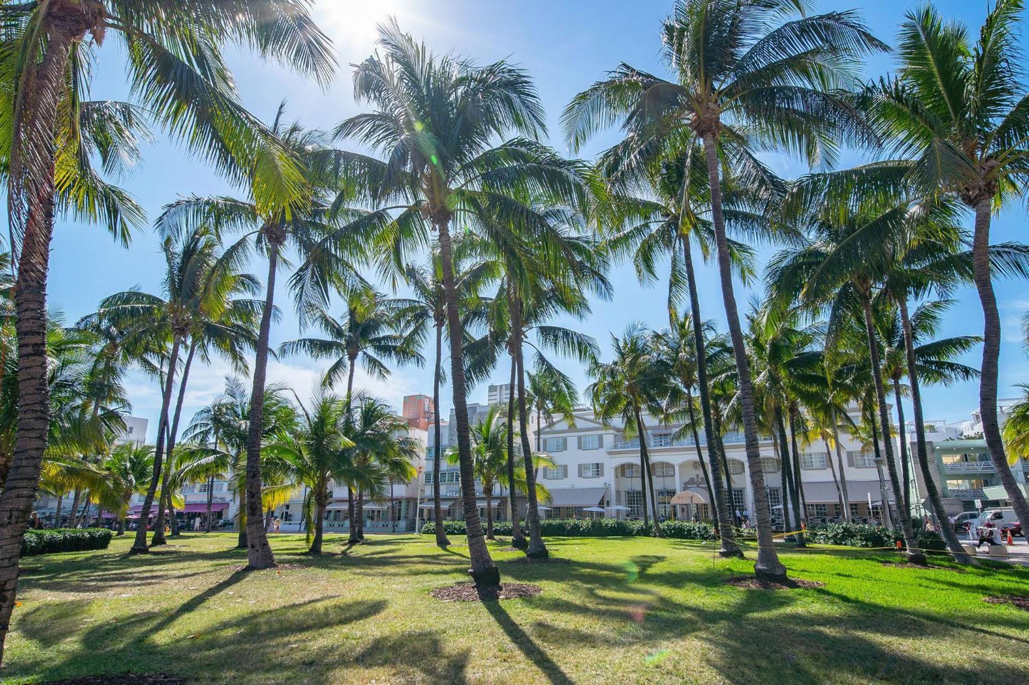 Chic Large Studio Apt Near Ocean Drive South Beach Майами-Бич Экстерьер фото